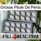 Grosse Pilule De Pénis 07